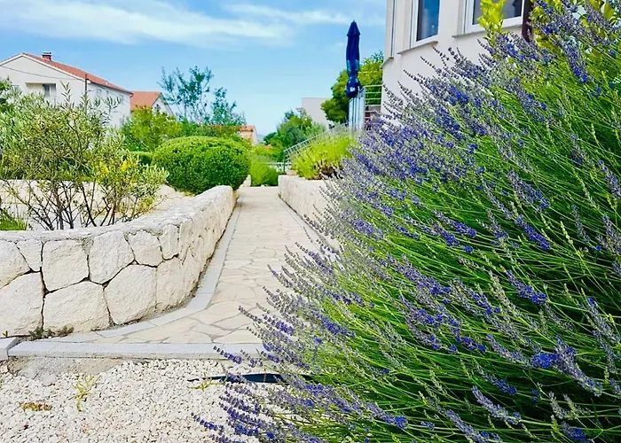 & Garden Lavanda Apartman Brodarica (Sibenik-Knin)